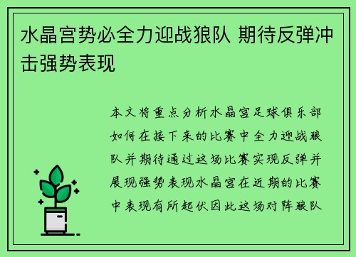 水晶宫势必全力迎战狼队 期待反弹冲击强势表现