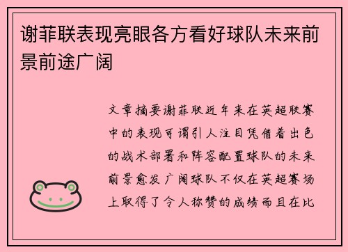 谢菲联表现亮眼各方看好球队未来前景前途广阔