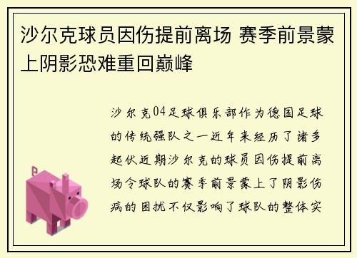 沙尔克球员因伤提前离场 赛季前景蒙上阴影恐难重回巅峰